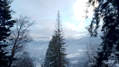 Pov-Fahren-Entlang-Des-Verschneiten-Waldes-Am-Wintertag,-Hohe-Tatra,-Polen