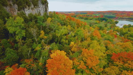 Rotating-aerial-view-of-an-autumn-forest-with-vivid,-colorful-foliage