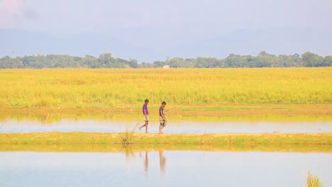 Granjeros-De-Bangladesh-Caminando-En-Vibrantes-Campos-Acuosos,-Vista-A-Distancia