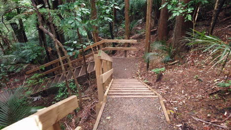 Point-of-view-of-walking-down-wooden-stairs-in-tropical-rainforest-park,-slowmo