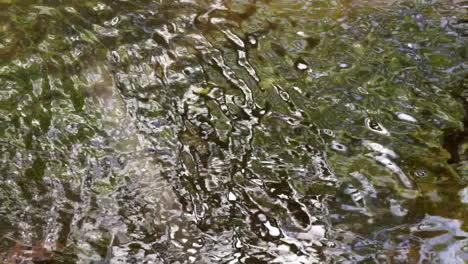 Panning-shot-of-creek-water-reflecting-distorted-patterns-of-trees-and-sky