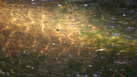 Camera-pans-with-light-refraction-patterns-moving-downstream-in-creek