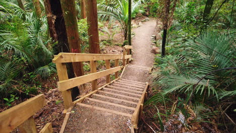 Point-of-view-walking-down-stairs-in-peaceful-rainforest-of-New-Zealand