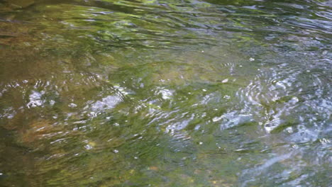 Panning-shot-of-creek-water-flowing-downstream
