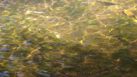 Close-up-creek-water-with-ripples-and-refracted-sunlight-patterns