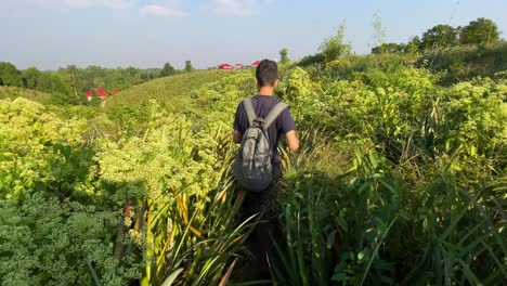 Rear-view-of-young-backpacker-in-middle-on-lush-green-bushland-in-Bangladesh