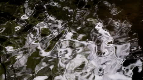 Reflexionen-Im-Fließenden-Bachwasser