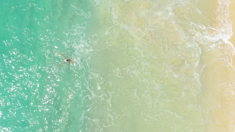 Aerial-view-of-woman-in-white-swimsuit-swimming-in-beautiful-clear-turquoise-water-in-Indonesia