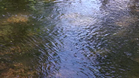 Eddies-and-ripples-in-the-water-of-a-flowing-stream