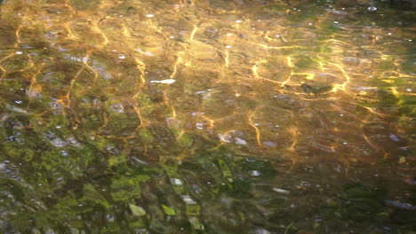 Panning-shot-of-light-refractions-moving-downstream-in-creek