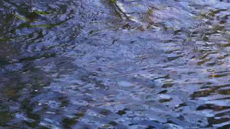 Ripples-and-floating-bubbles-in-flowing-creek-water