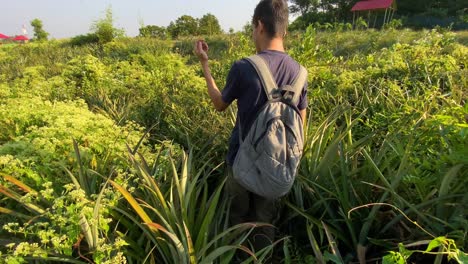 Adventurous-backpacker-man-walking-through-pineapple-garden-jungle-in-Bangladesh