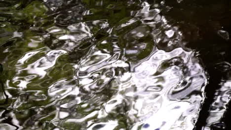 Reflections-in-flowing-creek-water-move-in-slow-motion