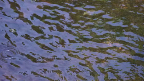 Creek-water-with-ripples-and-bubbles-floating-on-surface
