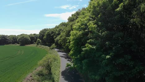 Empty-road-between-green-meadow---Wombwell-woods,-UK,-aerial-pedestal