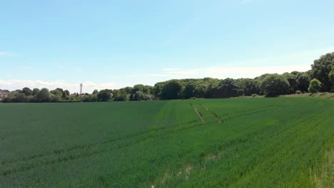Lebendiges-Grünes-Feld-In-Der-Nähe-Von-Wombwell-Woods-Unter-Blauem-Himmel,-England,-Sockelantenne