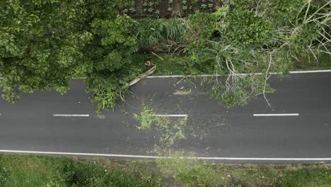 Car-Passing-By-The-Road-With-Fallen-Tree-During-Daytime