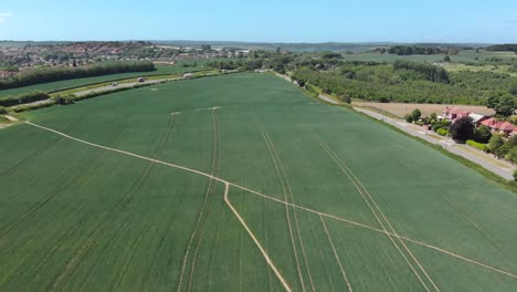 Drone-reverse-shot-over-crop-field-in-summer,-Barnsley-England