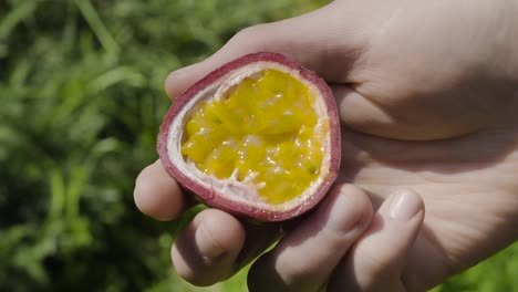 Caucasian-hands-holding-sweet-food-passion-fruit-half-with-inner-seed-cross-section-showing-camera