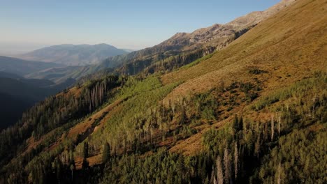 Aerial-rotating-footage-of-Uinta-Forest-near-Nepo-Loop-during-sunrise