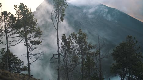 Misty-clouds-in-a-forest-during-a-volcano-hike---handheld-footage-in-Guatemala