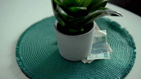 The-man-counts-Polish-banknotes-and-puts-them-under-a-pot-on-a-green-saucer