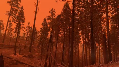 orange-sky-from-large-wildfire-and-smoky-conditions