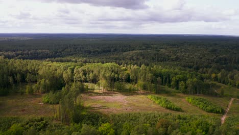 Aerial-view-moving-towards-huge-extensive-back-country-woodland-forest-terrain
