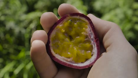 Passion-fruit-fresh-half-held-by-Caucasian-hands-looking-down-at-fruit