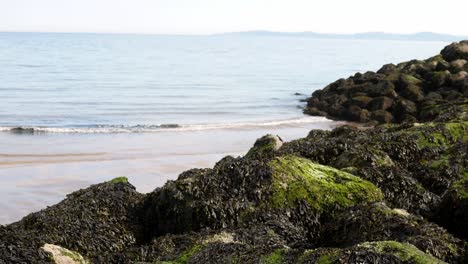 Tropical-holiday-surf-coastline-beach-stones-foreground-beach-tide-waves-background-sunny-horizon