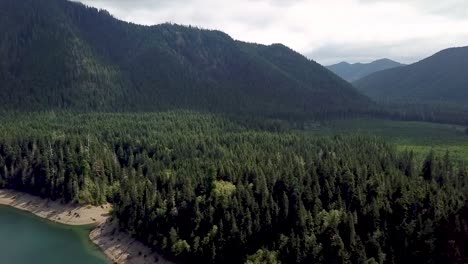 Frondosos-árboles-Coníferos-Verdes-En-La-Hermosa-Montaña-Junto-Al-Lago-En-El-Bosque-Nacional-Olímpico-Que-Rodea-El-Parque-Nacional-Olímpico-En-Washington---Ascenso-De-Drones-Aéreos