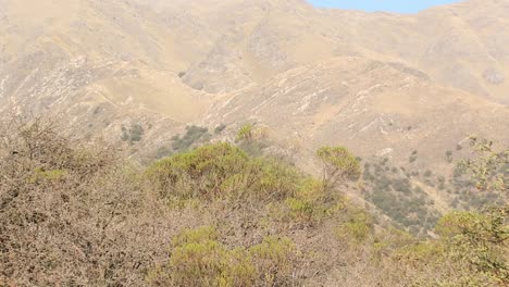 zoom-out-of-a-mountain-slope-view-in-Merlo,-San-Luis,-Argentina