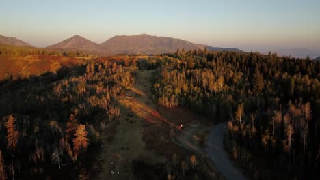 Luftstoß-Von-Herbstblättern-Im-Uinta-Wald-In-Utah-Während-Des-Sonnenaufgangs