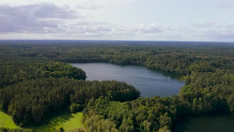 Aerial-view-flying-over-green-forest-tree-vegetation-towards-woodland-lake