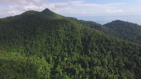 ascending-Aerial-shot-of-dense-tropical-rain-forest-on-the-Island-of-Koh-Chang-Jungle-and-sea-view