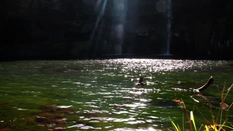 Der-Kleine-Shag-Vogel-Sitzt-Auf-Einem-Baumstamm-Im-Wasser-Und-Beobachtet-Abends-Einen-Wunderschönen-Wasserfall