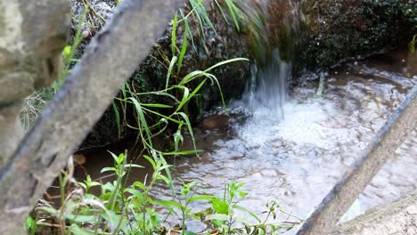 Fresh-bubbling-stream-splashing-over-stones-flowing-through-foliage-dolly-right-passing-metal-gate