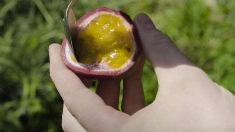 Kaukasische-Hände,-Die-Süße-Innere-Samen-Der-Passionsfrucht-Mit-Silbernem-Löffel-Schöpfen