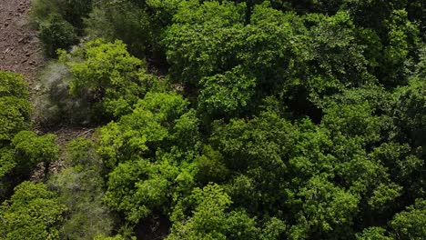 Aerial-view-above-lush-tropical-woodland-island-pebble-coast-landscape-Thailand