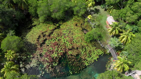 El-Remate-Naturreservat-Campeche-Mexiko-Calkiní-Reisende-Drohne-Draufsicht