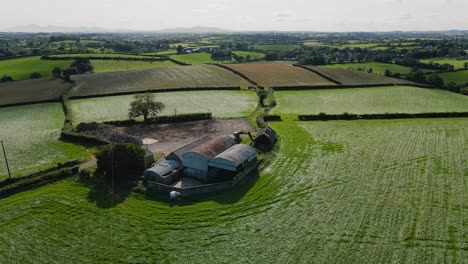 Barns-and-farmhouse-in-Irish-countryside,-tilt-up-aerial-view