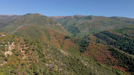 Panoramic-Aerial-View-Of-Fall-Trees-In-The-Mountain-Forest-In-Utah-Under-The-Warm-Sunlight