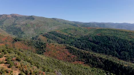 Herbstblätter-ändern-Ihre-Orange-Farbe-In-Der-Herbstsaison-In-Den-Utah-bergen,-Luftdrohne