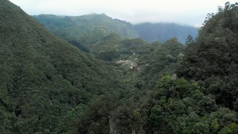 Flug-über-Den-Madeira-Dschungel-Auf-1500-Meter-über-Dem-Meeresspiegel