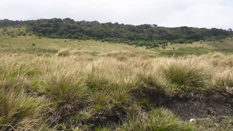 Scenic-grassland-view-from-the-moving-vehicle-side-window,-road-to-Horton-plains-national-park
