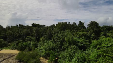 Drone-view-rising-above-lush-woodland-forest-treetop-canopy-tropical-landscape