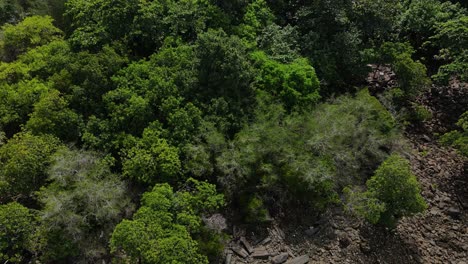 Rocky-terrain-and-green-tropical-wilderness-vegetation-aerial-view-moving-forwards-Thailand