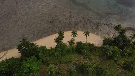 Aerial-birdseye-view-above-tropical-landscape-palm-tree-island-shoreline-moving-forward