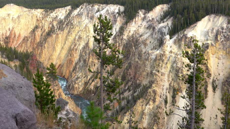 Yellow-colored-cliffs-of-the-Grand-Canyon-of-Yellowstone