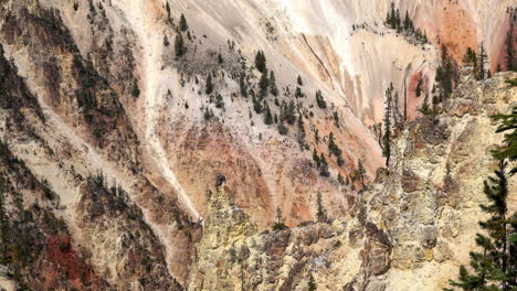 Tilt-up-on-colorful-canyon-walls-to-tree-line-of-the-Grand-Canyon-of-Yellowstone